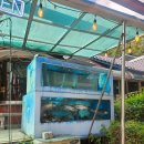 낙원식당 이미지