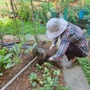 설봉경로당 이미지