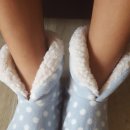 솜나라