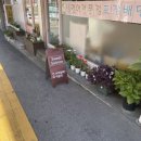 스위트살몬