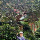 선원제전집도서 | 하동 가볼만한곳, 쌍계사 - 비오는 날 사찰여행