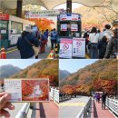 내장산 케이블카 단풍 절정 주차장 내장산 국립공원 여행