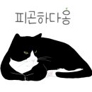 벨라레오