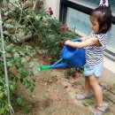 백룡농장 이미지