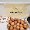 [HD]네이버 blog(블로그) 제대로 배우기 | 평택고덕헬스장 제대로 된 PT를 받을 수 있는 JSPT 후기