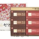 정관장농협하나로