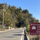 섬에온이유민박 이미지