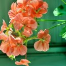 대구월암초등학교 이미지