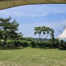 가든포레스트 이미지