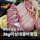 이상대 | [명지대 방어 맛집] 내돈내산 명지대 가성비 회 맛집! 포장 가능한 3kg이상대광어 횟집
