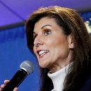 비둘기한국@ 이미지