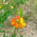 페퍼민트민박 이미지