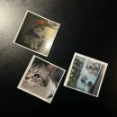 노벨 | 대구 반월당 카페, 디저트와 감성 둘 다 잡은 노벨커피 후기