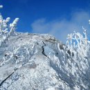 2/7 경북 영주 소백산 (비로봉 1,439m) 산행 안내 이미지