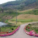 고령 유니벨리CC 이미지