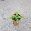 장미산주유소 이미지