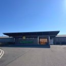 제덕만 매립지내 2 | 유니아일랜드cc 11월 후기 (시설, 그린피, 코스상태 등)