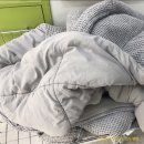 [천안 신방동 빨래방] 크린토피아 코인워시 :: 이불빨래 / 세탁