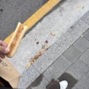 파리바게뜨 파주금촌점 이미지