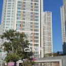 센텀리슈빌공인중개사사무소 이미지