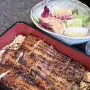 한장어 - 수원시 권선구 | 선릉역 맛집 회식 만목 장어덮밥 한 마리 후기