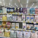 야옹아멍멍해봐 속초점 이미지