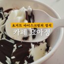 요아정 광명역점 초코쉘 포장후기 요거트월드 맛 비교