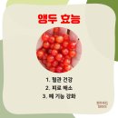 앵두마켓 이미지