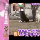 하이디