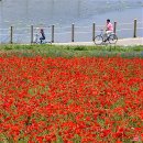 한경대학교부속농장 이미지
