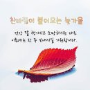 11월의 시(詩) 모음 이미지