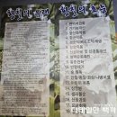 초록애 | 세종 장군면 오리백숙 맛집 초록애가든 대박 맛있음