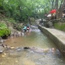 해뜨는 집 이미지