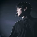 댕들