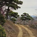 차량골농원 이미지