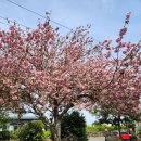 가1리경로당 이미지