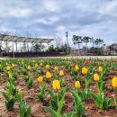 국화황토공원 이미지