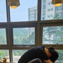 필라테스바이수리햅 네이버블로그
