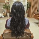 아코하롬헤어양주 이미지