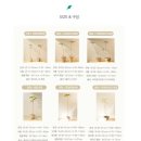써니사이드플랜트에서 황칠나무 입양해온 후기