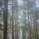 송죽마을 이미지