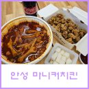 경기도 안성시 서운면사무소 | 안성 우연히 찾은 최애 닭발 맛집 마니커치킨 포장 후기