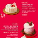 케이크트리(cake tree)