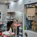이든펫 - 남양주시 마석중앙로 108 | 이든펫