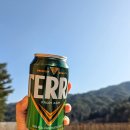 숲이좋아민박 이미지