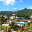 용인아이숲 이미지