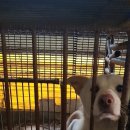 사연농장 이미지