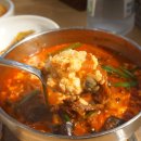강릉짬뽕순두부 동화가든 본점 후기 (근데 순두부젤라또를 곁들인..)
