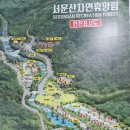 나인 오토 이미지