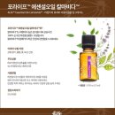 라이프에센셜 이미지